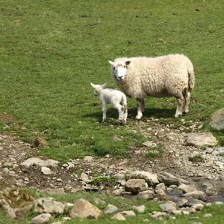 Frühstückspension Barn-gill House 3*