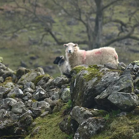 Nocleg ze śniadaniem Barn-gill House