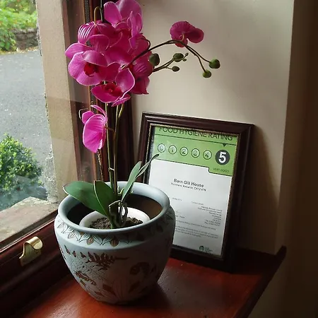 Nocleg ze śniadaniem Barn-gill House 3*