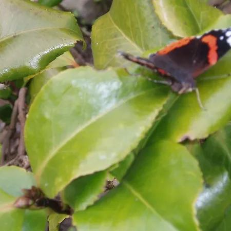 Nocleg ze śniadaniem Barn-gill House Thirlmere