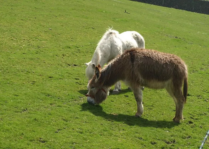 Barn-gill House فندق مبيت وإفطار