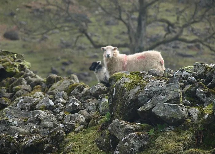 فندق مبيت وإفطار Barn-gill House