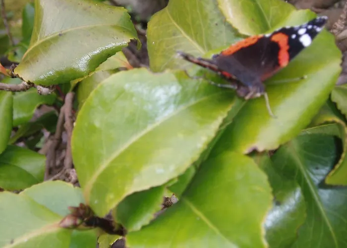 فندق مبيت وإفطار Barn-gill House Thirlmere